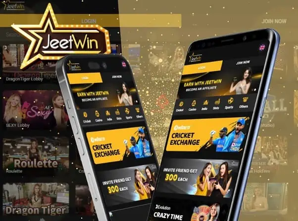 কিভাবে JeeTwin লকড ওয়ালেটের লেনদেনের রেকর্ড দেখতে হয়?